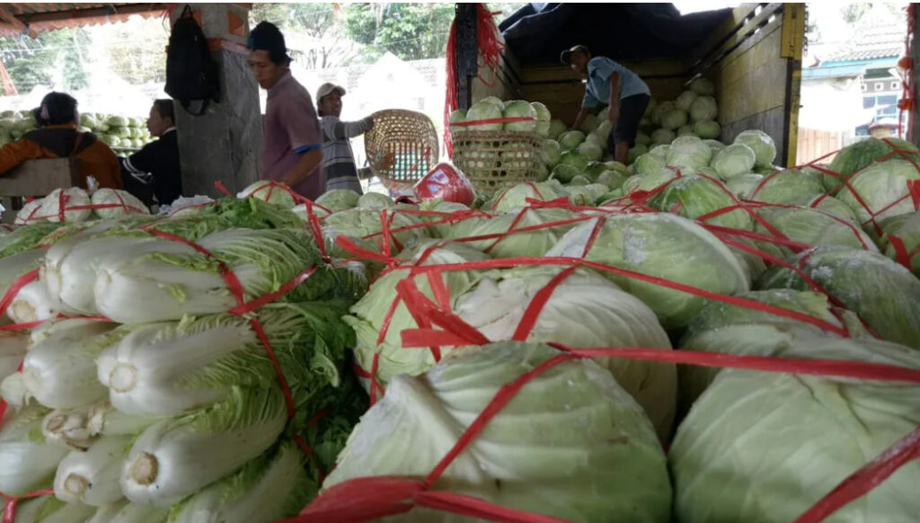 Sayuran kol kiriman dari petani di sentra sayuran seperti Dataran Tinggi Dieng, Wonosobo juga Kopeng, Salatiga dibongkar di Padar Sayur Bandungan baru, Kabupaten Semarang, Jawa Tengah.